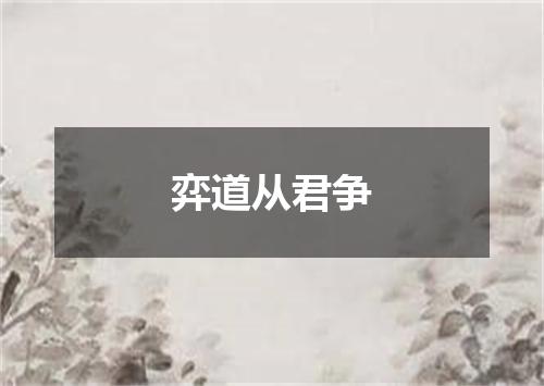 弈道从君争