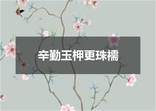 辛勤玉柙更珠襦