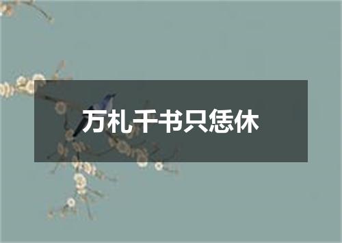 万札千书只恁休