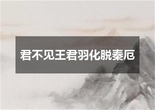 君不见王君羽化脱秦厄