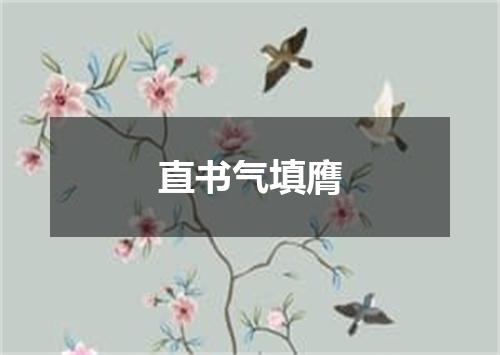 直书气填膺