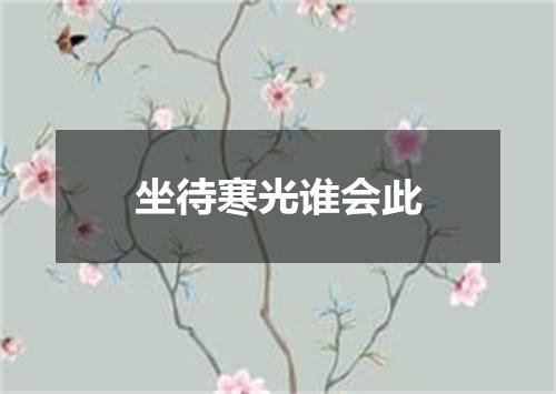 坐待寒光谁会此