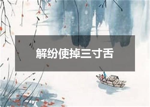解纷使掉三寸舌