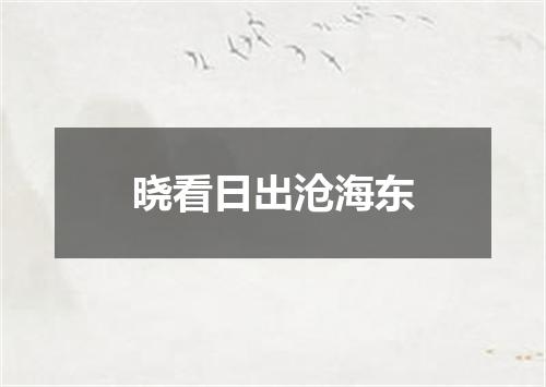 晓看日出沧海东