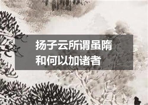 扬子云所谓虽隋和何以加诸者