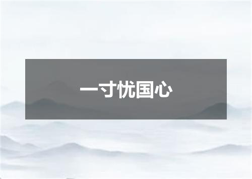 一寸忧国心
