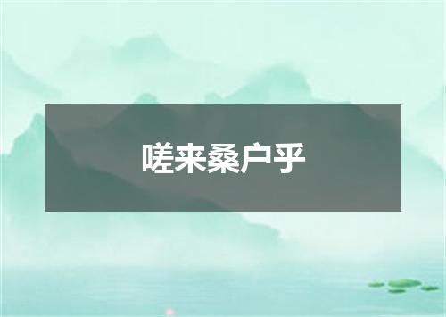 嗟来桑户乎