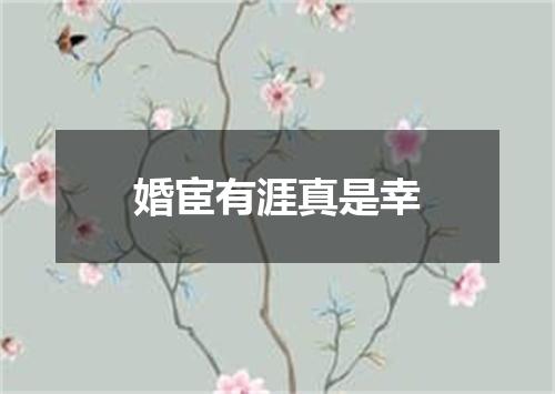 婚宦有涯真是幸