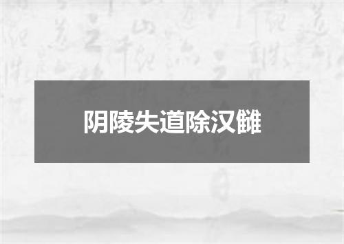 阴陵失道除汉雠