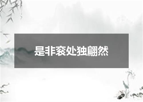 是非衮处独翩然