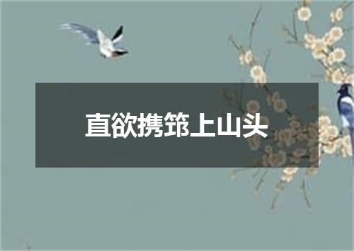 直欲携筇上山头