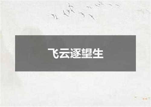 飞云逐望生