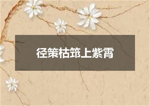 径策枯筇上紫霄