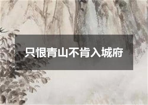 只恨青山不肯入城府
