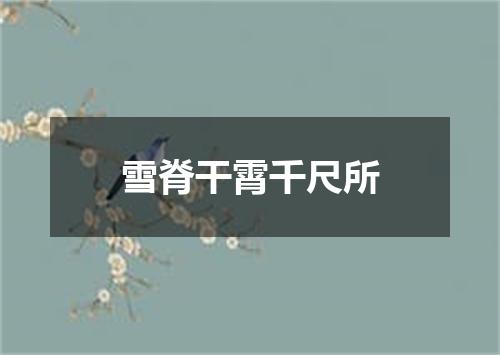 雪脊干霄千尺所