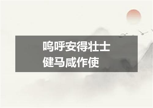 呜呼安得壮士健马咸作使
