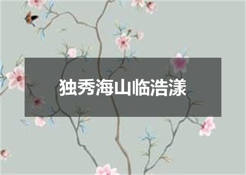 独秀海山临浩漾