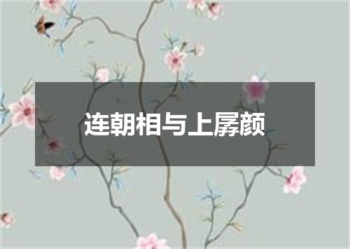 连朝相与上孱颜