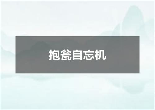 抱瓮自忘机