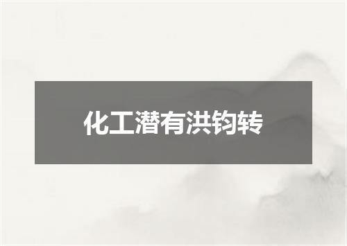化工潜有洪钧转