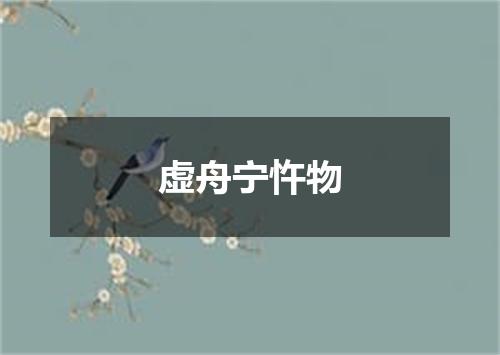 虚舟宁忤物