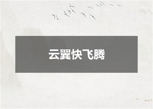 云翼快飞腾