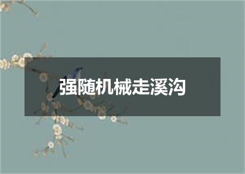 强随机械走溪沟