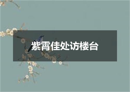 紫霄佳处访楼台