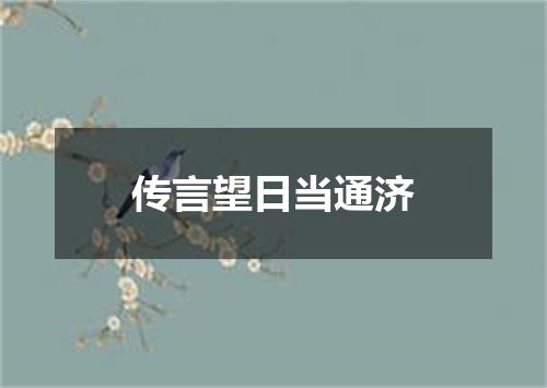 传言望日当通济