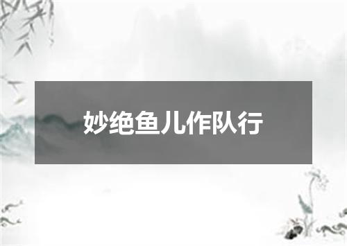 妙绝鱼儿作队行