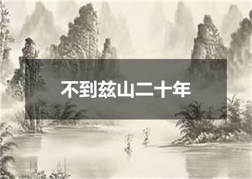 不到兹山二十年