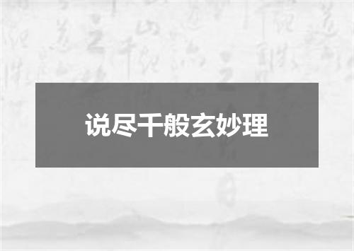 说尽千般玄妙理