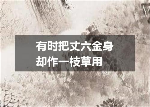 有时把丈六金身却作一枝草用