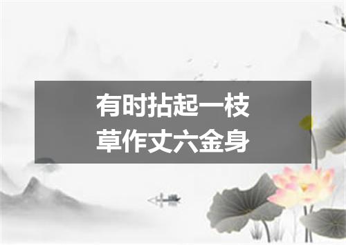 有时拈起一枝草作丈六金身