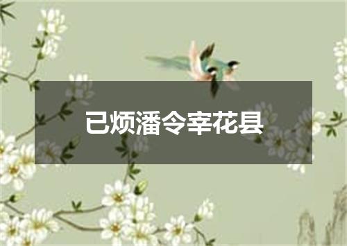 已烦潘令宰花县