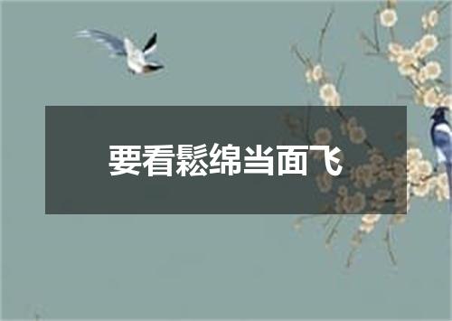 要看鬆绵当面飞