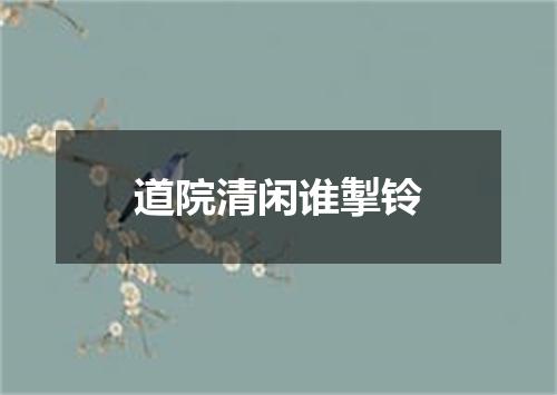 道院清闲谁掣铃