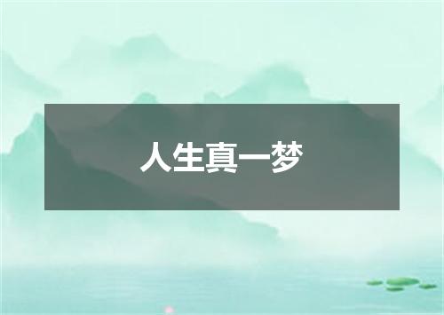 人生真一梦