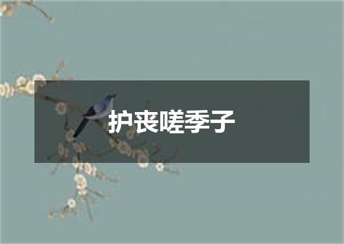 护丧嗟季子