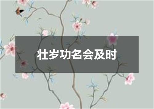 壮岁功名会及时