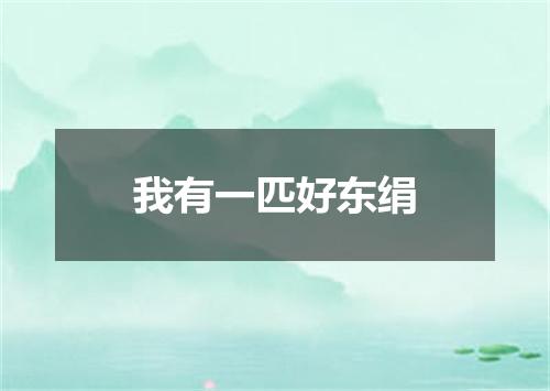 我有一匹好东绢
