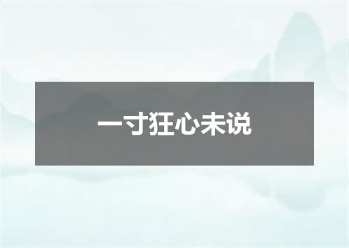 一寸狂心未说