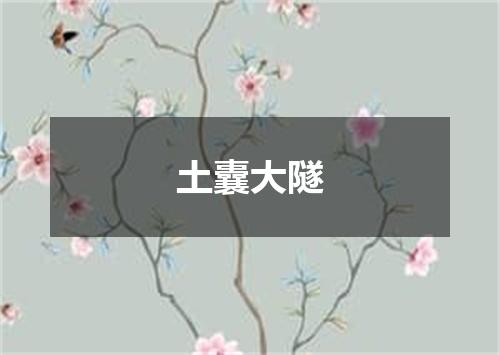 土囊大隧