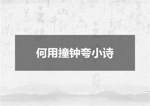 何用撞钟夸小诗