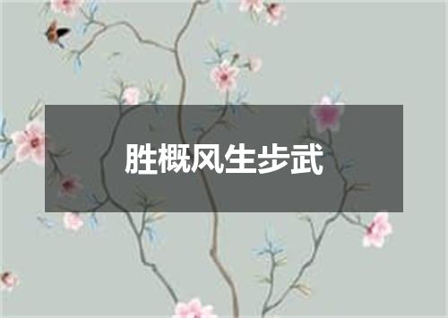 胜概风生步武