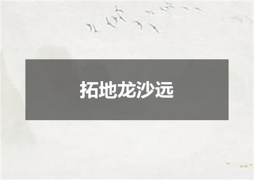 拓地龙沙远