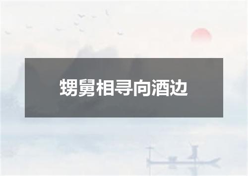 甥舅相寻向酒边