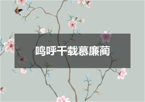 鸣呼千载慕廉蔺