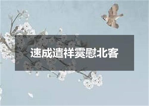 速成遣祥霙慰北客