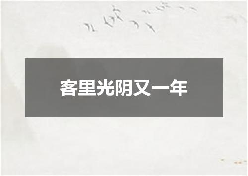 客里光阴又一年